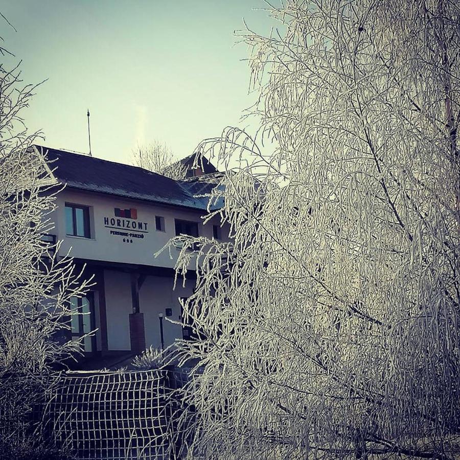 Bed and Breakfast Horizont Panzio Одорхею-Секуйеск Экстерьер фото