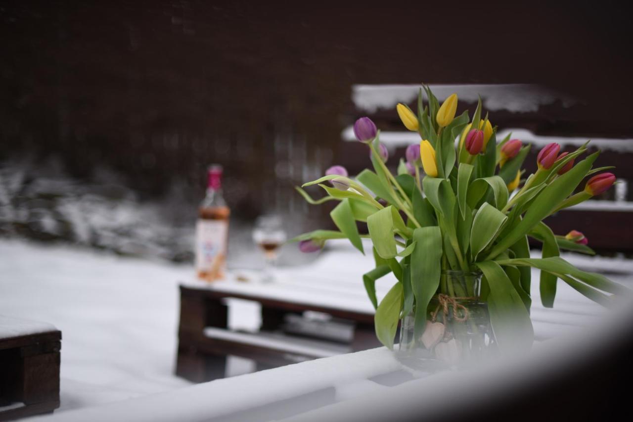 Bed and Breakfast Horizont Panzio Одорхею-Секуйеск Экстерьер фото