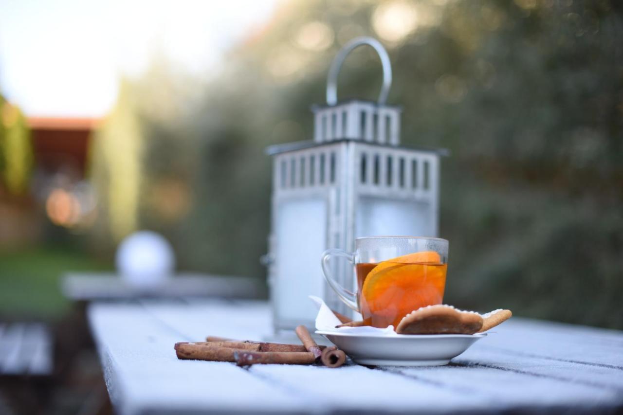Bed and Breakfast Horizont Panzio Одорхею-Секуйеск Экстерьер фото