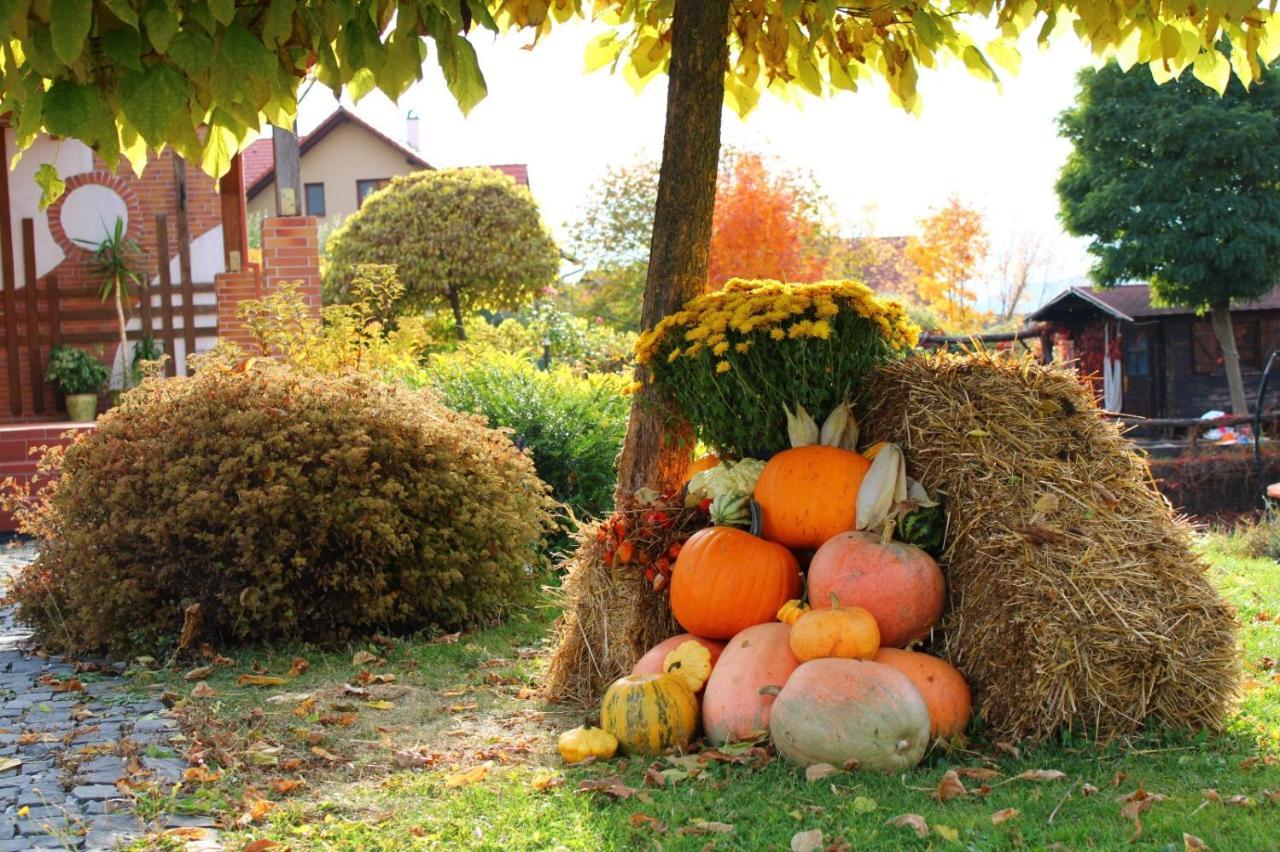 Bed and Breakfast Horizont Panzio Одорхею-Секуйеск Экстерьер фото